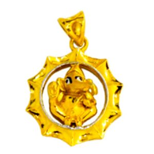 PGP17004