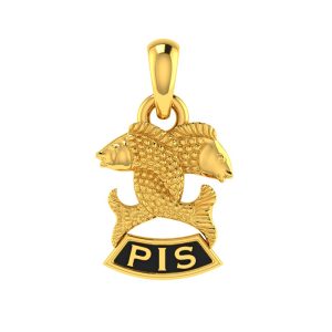 PPN22041